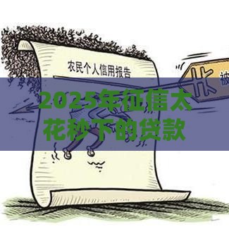2025年征信太花秒下的贷款能通过吗安全吗，试试这五个最新黑户能过的网贷平台