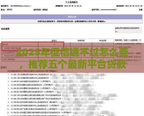 2025年征信通不过怎么查，推荐五个最新平台贷款容易