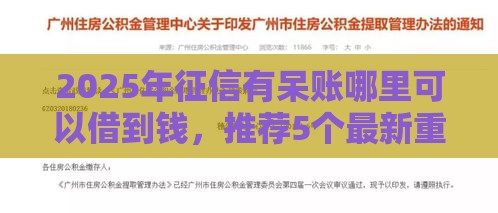 2025年征信有呆账哪里可以借到钱，推荐5个最新重庆网贷平台
