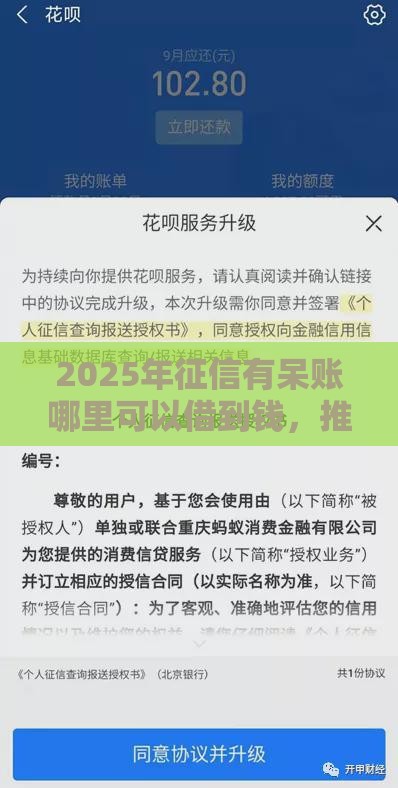 2025年征信有呆账哪里可以借到钱，推荐5个最新重庆网贷平台