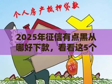 2025年征信有点黑从哪好下款，看看这5个最新安全的网贷平台排名不分先后