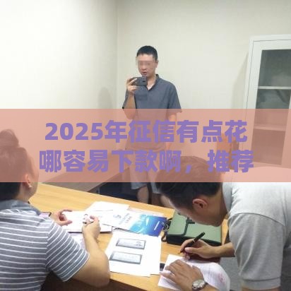 2025年征信有点花哪容易下款啊，推荐5个最新贷款加盟平台
