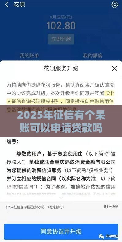 2025年征信有个呆账可以申请贷款吗，推荐5个最新像花薪一样能借30天的口子