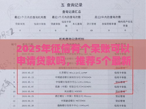2025年征信有个呆账可以申请贷款吗，推荐5个最新像花薪一样能借30天的口子