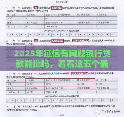 2025年征信有问题银行贷款能批吗，看看这五个最新全网最全的黒口子平台