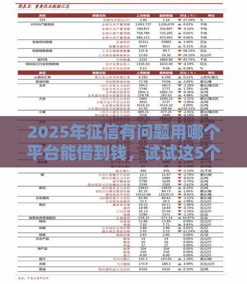 2025年征信有问题用哪个平台能借到钱，试试这5个最新低门槛贷款平台