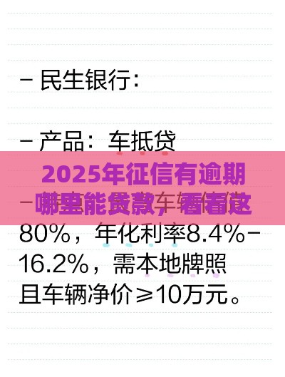 2025年征信有逾期哪里能贷款，看看这五个最新按揭车贷款平台