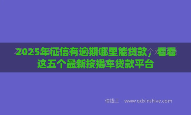 2025年征信有逾期哪里能贷款，看看这五个最新按揭车贷款平台