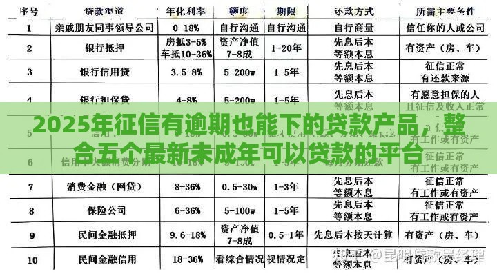 2025年征信有逾期也能下的贷款产品，整合五个最新未成年可以贷款的平台