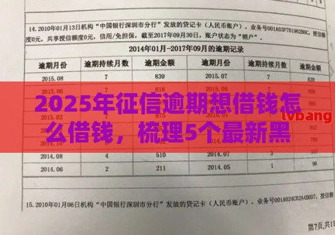 2025年征信逾期想借钱怎么借钱，梳理5个最新黑户100%能下款的平台