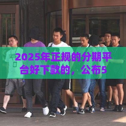 2025年正规的分期平台好下款的，公布5个最新网贷平台查询系统