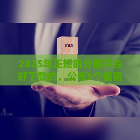 2025年正规的分期平台好下款的，公布5个最新网贷平台查询系统