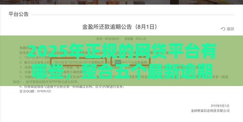 2025年正规的网贷平台有哪些，整合五个最新逾期贷款平台