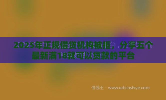 2025年正规借贷机构被拒，分享五个最新满18就可以贷款的平台