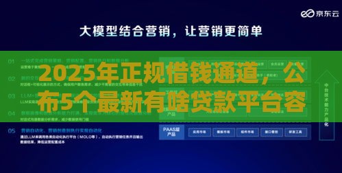 2025年正规借钱通道，公布5个最新有啥贷款平台容易过的