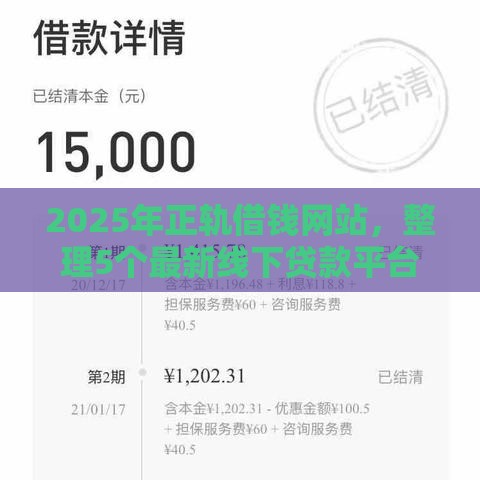 2025年正轨借钱网站，整理5个最新线下贷款平台