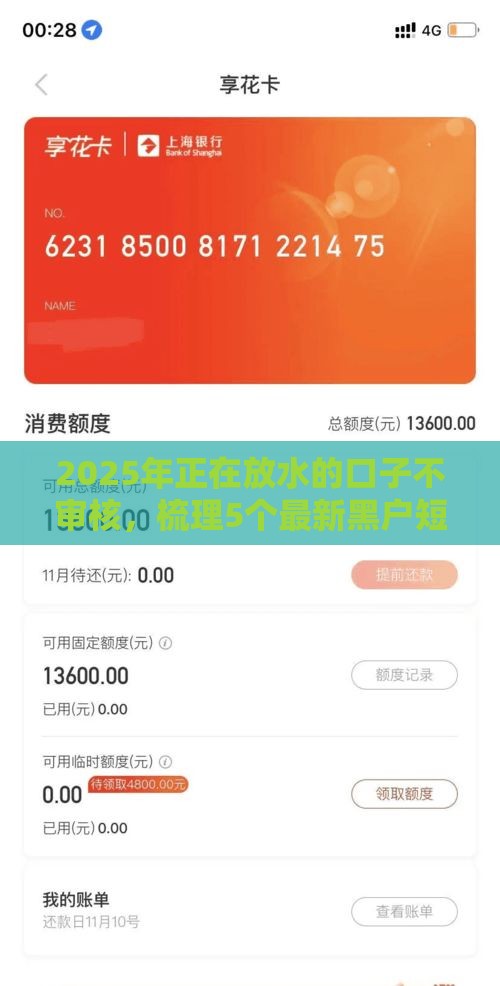 2025年正在放水的口子不审核，梳理5个最新黑户短期贷口子