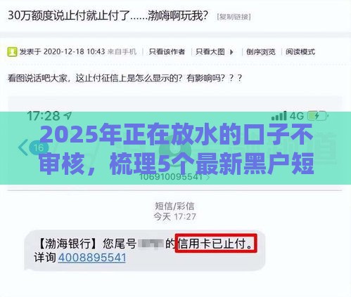 2025年正在放水的口子不审核，梳理5个最新黑户短期贷口子
