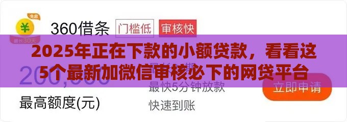 2025年正在下款的小额贷款，看看这5个最新加微信审核必下的网贷平台