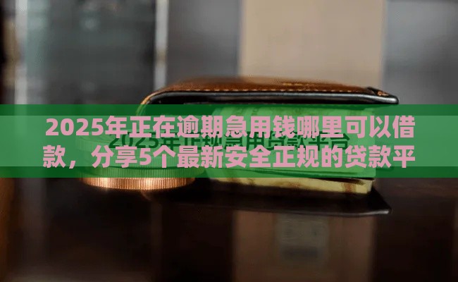 2025年正在逾期急用钱哪里可以借款，分享5个最新安全正规的贷款平台