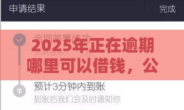 2025年正在逾期哪里可以借钱，公布五个最新不需要征信的借款平台