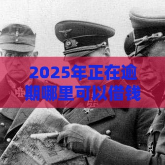 2025年正在逾期哪里可以借钱一万块，推荐五个最新夜间秒下款的高炮口子