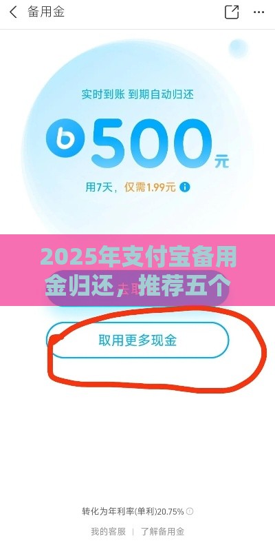 2025年支付宝备用金归还，推荐五个最新同城贷款平台