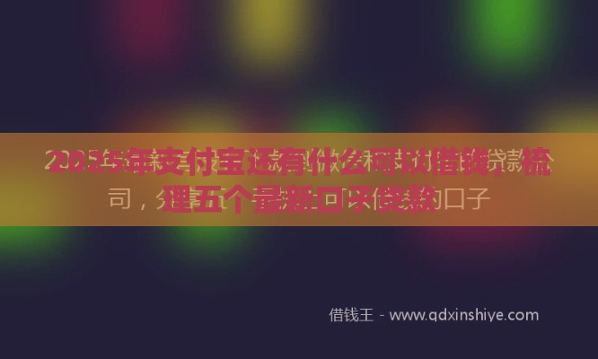 2025年支付宝还有什么可以借钱，梳理五个最新口子贷款