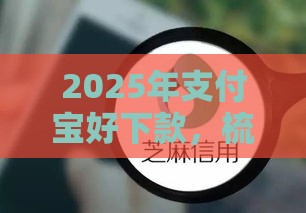2025年支付宝好下款，梳理5个最新平台最好借钱