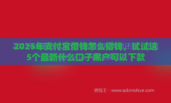 2025年支付宝借钱怎么借钱，试试这5个最新什么口子黑户可以下款