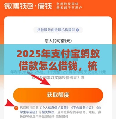 2025年支付宝蚂蚁借款怎么借钱，梳理5个最新微博专享借钱平台