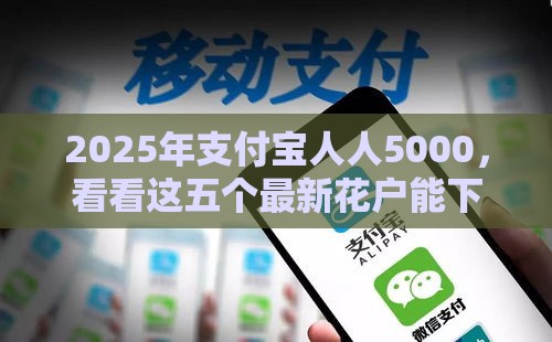 2025年支付宝人人5000，看看这五个最新花户能下款的口子