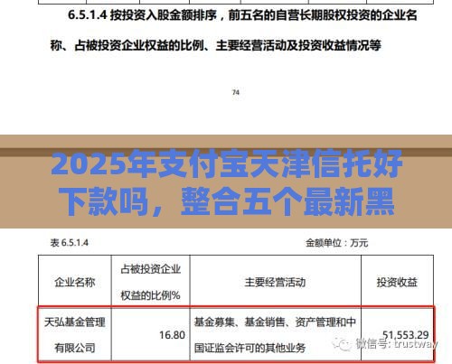 2025年支付宝天津信托好下款吗，整合五个最新黑户借钱的平台100%能借