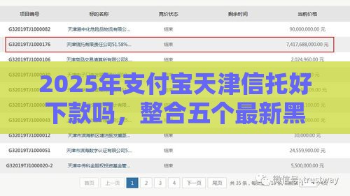 2025年支付宝天津信托好下款吗，整合五个最新黑户借钱的平台100%能借