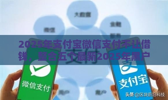 2025年支付宝微信支付不让借钱，整合五个最新2025年黑户可以下款的口子