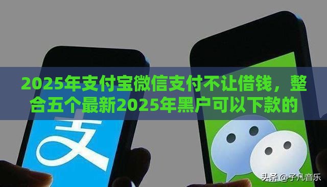 2025年支付宝微信支付不让借钱，整合五个最新2025年黑户可以下款的口子