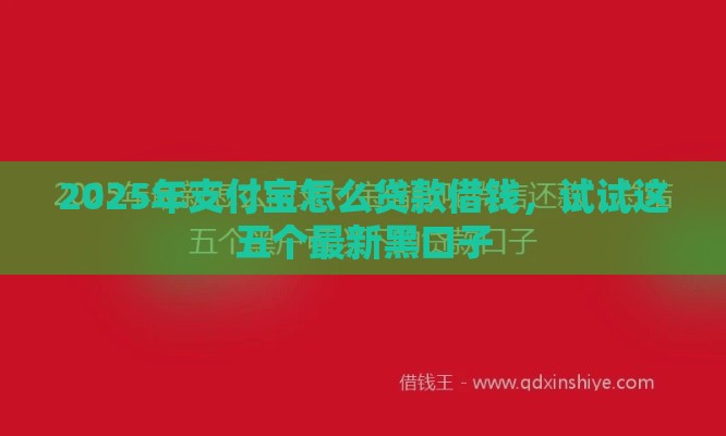 2025年支付宝怎么贷款借钱，试试这五个最新黑口子