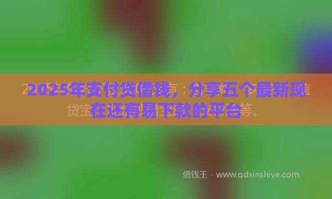 2025年支付贷借钱，分享五个最新现在还有易下款的平台