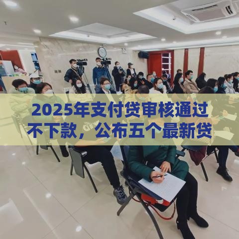2025年支付贷审核通过不下款，公布五个最新贷款快的平台