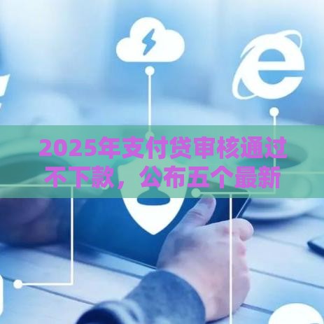 2025年支付贷审核通过不下款，公布五个最新贷款快的平台