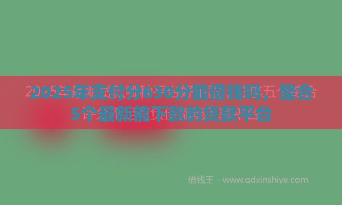 2025年支付分630分能借钱吗，整合5个最新能下款的贷款平台