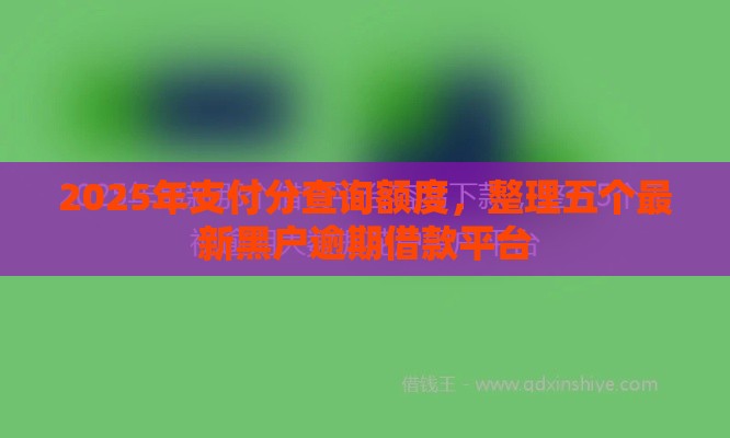 2025年支付分查询额度，整理五个最新黑户逾期借款平台