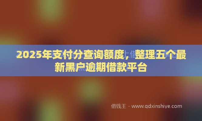 2025年支付分查询额度，整理五个最新黑户逾期借款平台