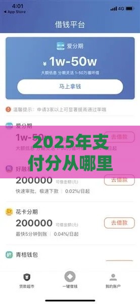 2025年支付分从哪里看额度，推荐5个最新能下款的网贷平台