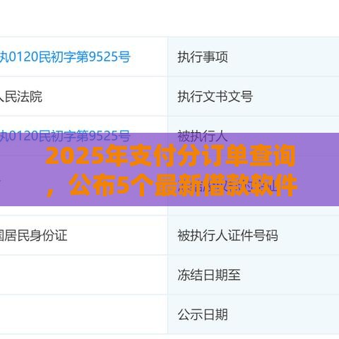 2025年支付分订单查询，公布5个最新借款软件