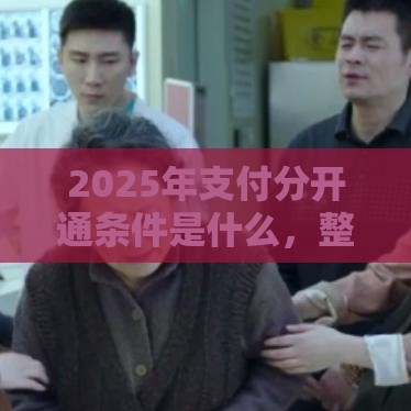 2025年支付分开通条件是什么，整合五个最新借款平台借钱容易通过