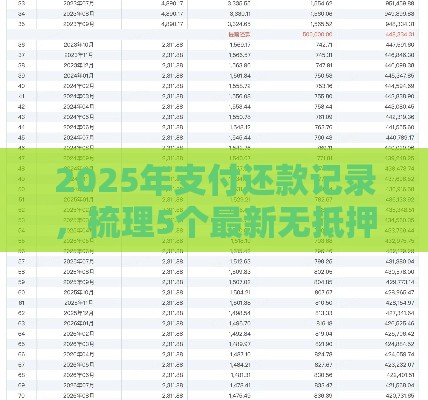 2025年支付还款记录，梳理5个最新无抵押贷款平台