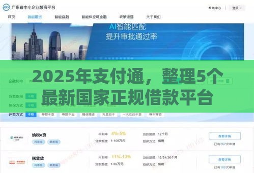 2025年支付通，整理5个最新国家正规借款平台