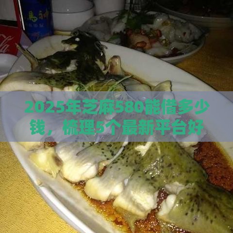 2025年芝麻580能借多少钱，梳理5个最新平台好下款