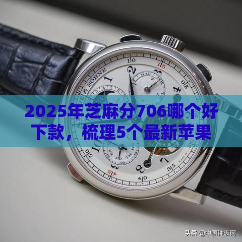 2025年芝麻分706哪个好下款，梳理5个最新苹果贷款平台